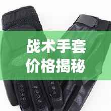 战术手套价格揭秘，不同种类与品质的市场定价对比