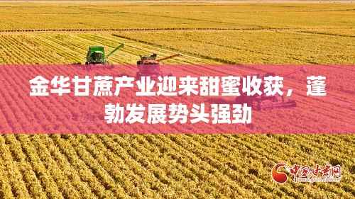 金华甘蔗产业迎来甜蜜收获,蓬勃发展势头强劲