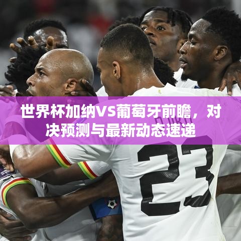 世界杯加纳VS葡萄牙前瞻,对决预测与最新动态速递