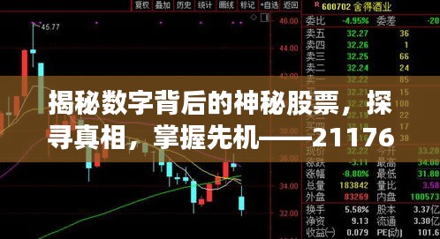 揭秘数字背后的神秘股票,探寻真相,掌握先机——211766股票真实身份大解密!