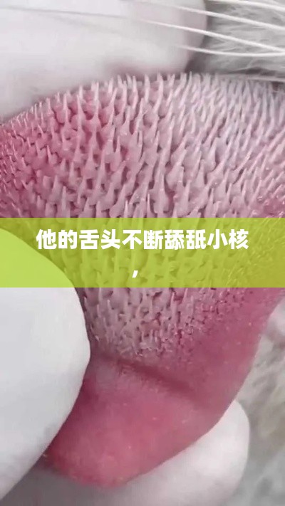 他的舌头不断舔舐小核,