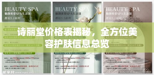 诗丽堂价格表揭秘,全方位美容护肤信息总览