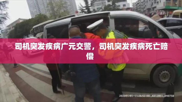 鸿飞雪爪 第3页