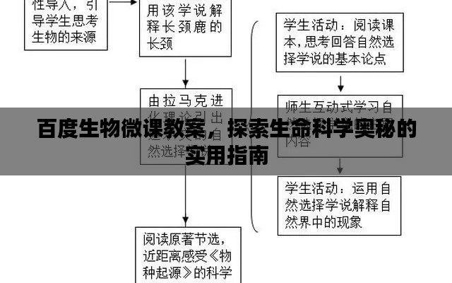 百度生物微课教案,探索生命科学奥秘的实用指南