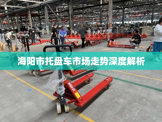 海阳市托盘车市场走势深度解析