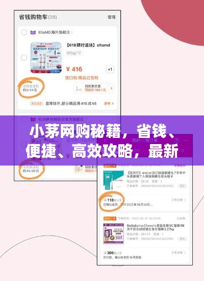 小茅网购秘籍,省钱、便捷、高效攻略,最新购物指南一网打尽!