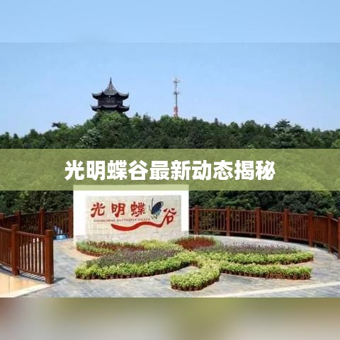 光明蝶谷最新动态揭秘