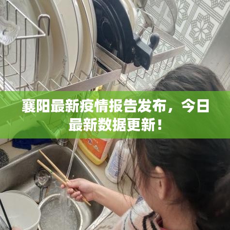 襄阳最新疫情报告发布,今日最新数据更新!