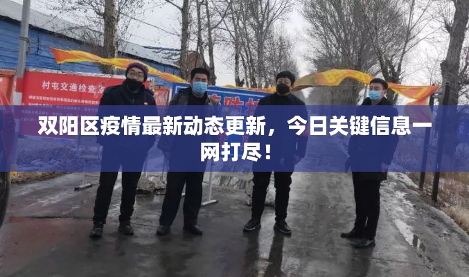 双阳区疫情最新动态更新,今日关键信息一网打尽!