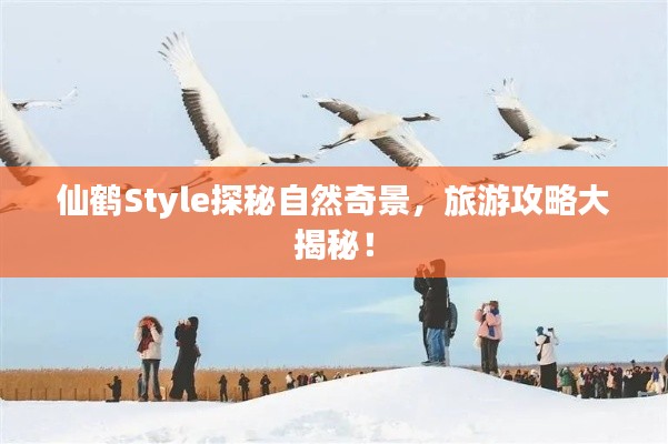 富贵逼人来 第2页