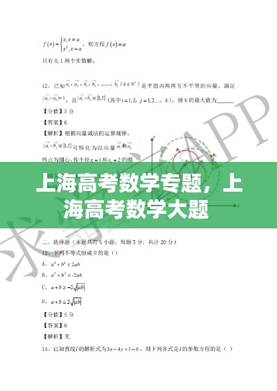 上海高考数学专题,上海高考数学大题