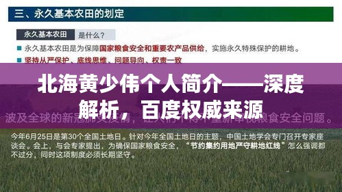北海黄少伟个人简介——深度解析,百度权威来源