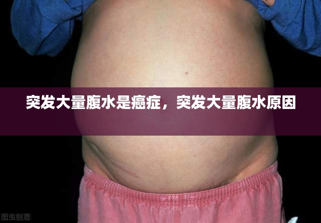 草创未就 第2页