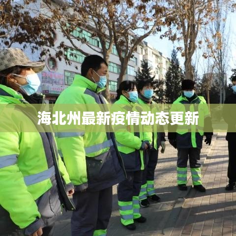 海北州最新疫情动态更新