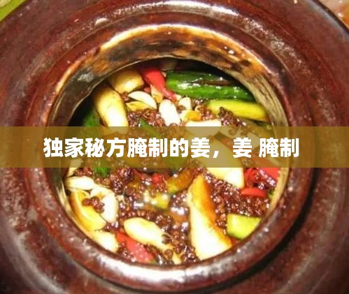 独家秘方腌制的姜，姜 腌制 