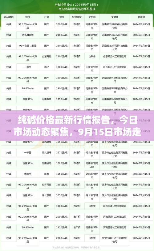 纯碱价格最新行情报告,今日市场动态聚焦,9月15日市场走势分析