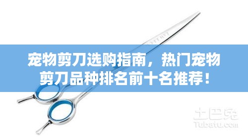 宠物剪刀选购指南,热门宠物剪刀品种排名前十名推荐!
