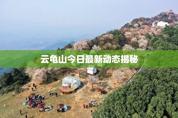 云龟山今日最新动态揭秘