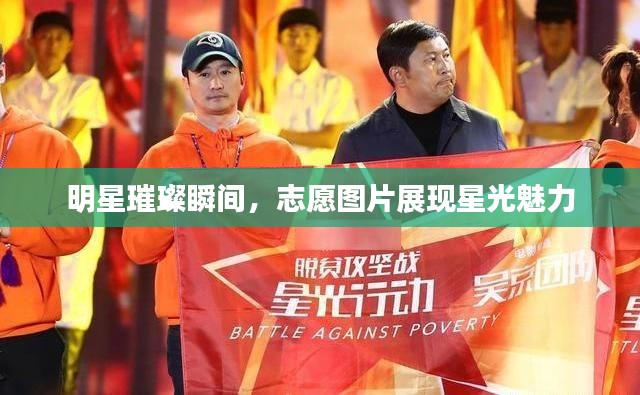 明星璀璨瞬间,志愿图片展现星光魅力
