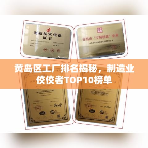 黄岛区工厂排名揭秘,制造业佼佼者TOP10榜单